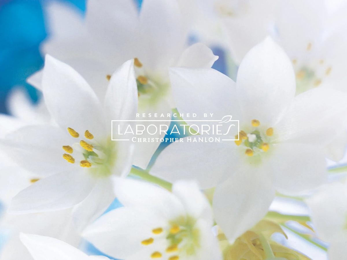 PAMPLEMOUSSE ROSE + CITRON VERT | GEL DOUCHE – aux AHA exfoliants